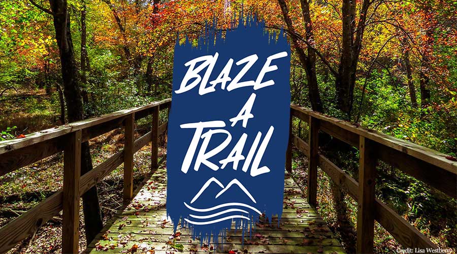 Blaze a Trail logo over a picture of a walking bridge