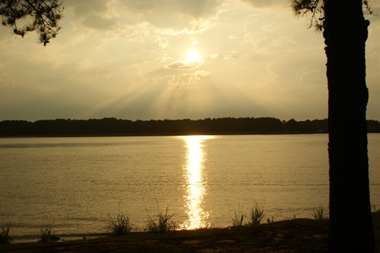 Sunset at Reed Bingham