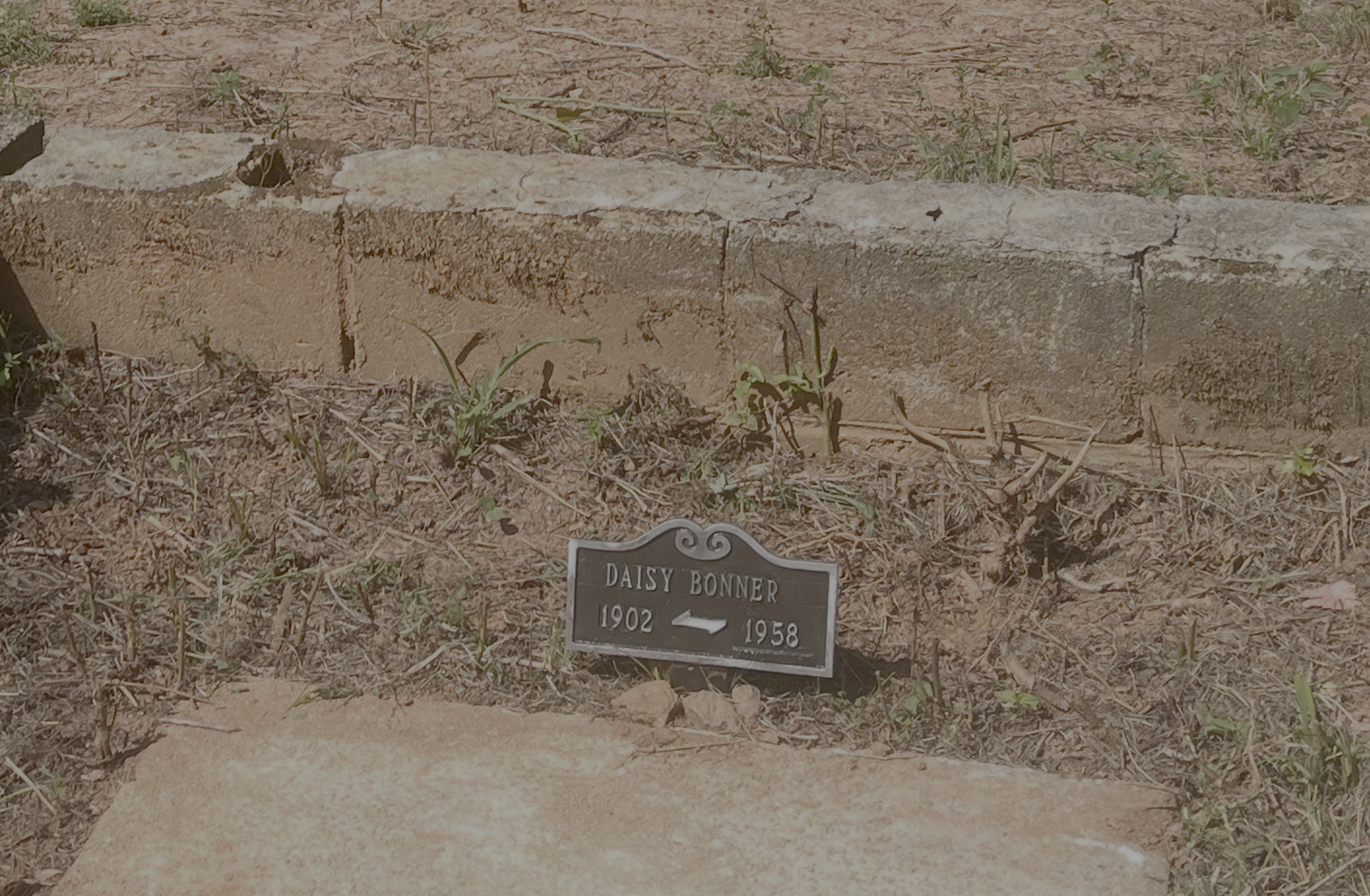 Daisy Bonner's grave marker