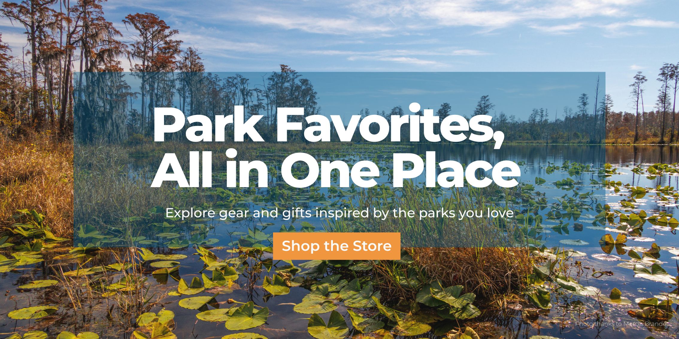 Shop The Store Banner