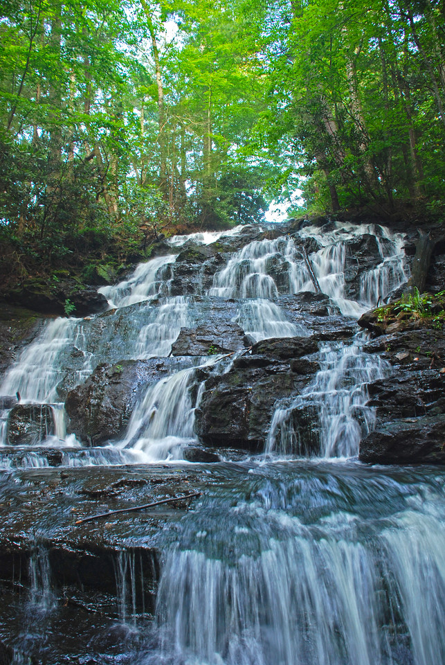 Georgia state park landscape