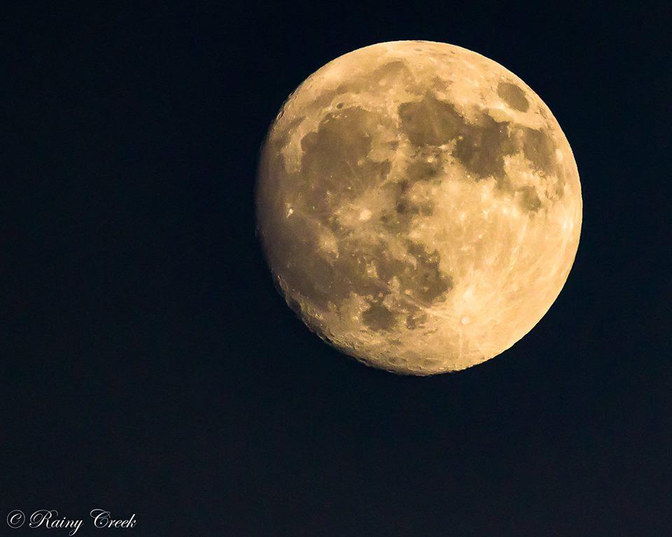 Full moon in a dark night sky