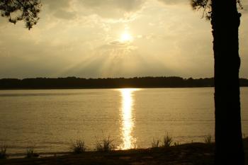 Sunset at Reed Bingham