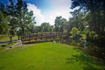 Magnolia Springs