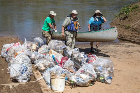 Group of volunteers in nature