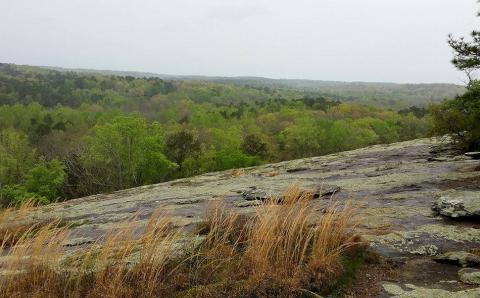 Panola-Outcrops.jpg