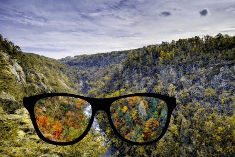 Visitor experiencing color accessibility glasses at a Georgia State Park