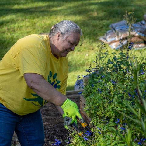 Your State Parks Day volunteers working hard in the garden, pruning and maintaining park landscapes