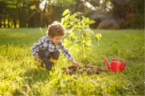 kid with tree.jpg