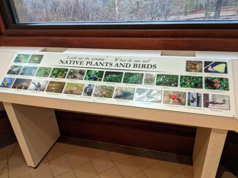window board1.jpg
