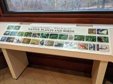 window board1.jpg